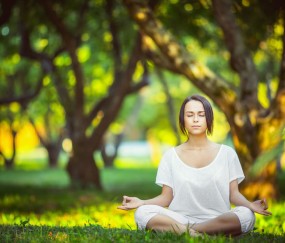 世界杯竞彩推荐-世界杯热度攀升，葡萄牙队成冠军新看点
